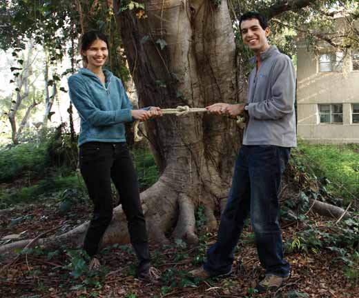Hilary Finucane and Yakir Reshef. Tying the knot